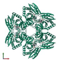 Homo hexameric assembly 1 of PDB entry 5zni coloured by chemically distinct molecules, front view.