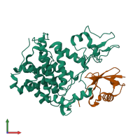 Hetero dimeric assembly 1 of PDB entry 5zq3 coloured by chemically distinct molecules, front view.