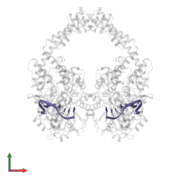 DNA/RNA (5'-D(P*AP*GP*C)-R(P*(IU))-D(P*CP*GP*GP*C)-R(P*(IU))-3') in PDB entry 5zqf, assembly 1, front view.