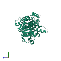 Katanin p60 ATPase-containing subunit A1 in PDB entry 5zqm, assembly 1, side view.