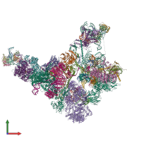 PDB entry 5zwm coloured by chain, front view.