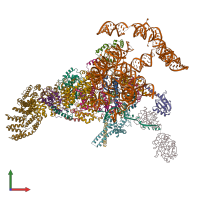 PDB entry 5zwn coloured by chain, front view.