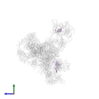 Small nuclear ribonucleoprotein Sm D1 in PDB entry 5zwo, assembly 1, side view.