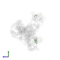 Small nuclear ribonucleoprotein Sm D2 in PDB entry 5zwo, assembly 1, side view.