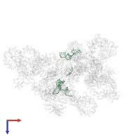 U4 snRNA in PDB entry 5zwo, assembly 1, top view.