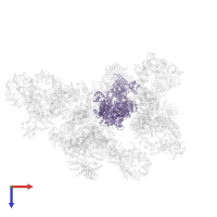 Pre-mRNA-splicing helicase BRR2 in PDB entry 5zwo, assembly 1, top view.