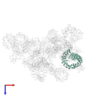 U2 snRNP component HSH155 in PDB entry 5zwo, assembly 1, top view.