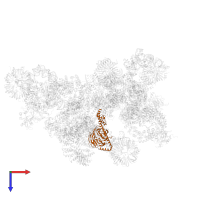 U4/U6 small nuclear ribonucleoprotein PRP4 in PDB entry 5zwo, assembly 1, top view.