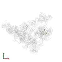 Pre-mRNA-splicing factor RDS3 in PDB entry 5zwo, assembly 1, front view.