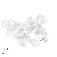 Pre-mRNA-splicing factor CWC26 in PDB entry 5zwo, assembly 1, top view.