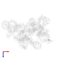 Pre-mRNA leakage protein 1 in PDB entry 5zwo, assembly 1, top view.