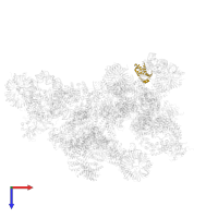 U2 small nuclear ribonucleoprotein A' in PDB entry 5zwo, assembly 1, top view.