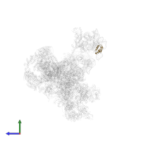 U2 small nuclear ribonucleoprotein B'' in PDB entry 5zwo, assembly 1, side view.