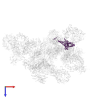 Pre-mRNA-splicing factor PRP9 in PDB entry 5zwo, assembly 1, top view.