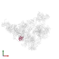 Pre-mRNA-splicing factor 38 in PDB entry 5zwo, assembly 1, front view.