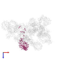 Pre-mRNA-splicing factor 6 in PDB entry 5zwo, assembly 1, top view.