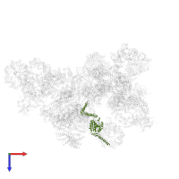 U4/U6 small nuclear ribonucleoprotein PRP3 in PDB entry 5zwo, assembly 1, top view.