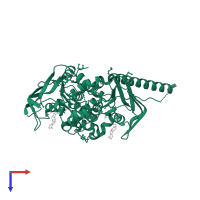 ATP-binding cassette sub-family F member 1 in PDB entry 5zxd, assembly 1, top view.