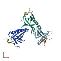 PDB entry 5zz9 coloured by chain, front view.