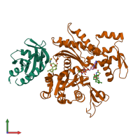 PDB entry 5zza coloured by chain, front view.