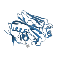 The deposited structure of PDB entry 6a4k contains 4 copies of CATH domain 3.90.209.20 (Hemagglutinin (Ha1 Chain); Chain: A; domain 1) in Hemagglutinin. Showing 1 copy in chain A.