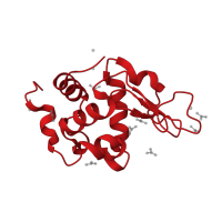 The deposited structure of PDB entry 6a4p contains 1 copy of CATH domain 1.10.530.10 (Lysozyme) in Lysozyme C. Showing 1 copy in chain A.