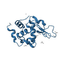 The deposited structure of PDB entry 6a4p contains 1 copy of Pfam domain PF00062 (C-type lysozyme/alpha-lactalbumin family) in Lysozyme C. Showing 1 copy in chain A.