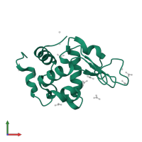 Lysozyme C in PDB entry 6a4p, assembly 1, front view.