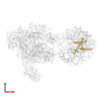 Histone H2B type 1-J in PDB entry 6a5o, assembly 1, front view.