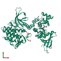 Homo dimeric assembly 2 of PDB entry 6aak coloured by chemically distinct molecules, front view.