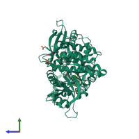 Homo dimeric assembly 2 of PDB entry 6aak coloured by chemically distinct molecules, side view.