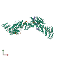 PDB entry 6af0 coloured by chain, front view.