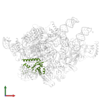 Ribonuclease P/MRP protein subunit POP5 in PDB entry 6agb, assembly 1, front view.