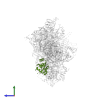 Ribonuclease P/MRP protein subunit POP5 in PDB entry 6agb, assembly 1, side view.