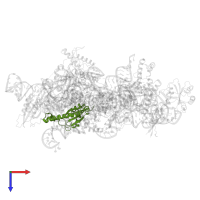 Ribonuclease P/MRP protein subunit POP5 in PDB entry 6agb, assembly 1, top view.