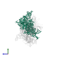 Ribonuclease P RNA in PDB entry 6ah3, assembly 1, side view.