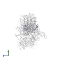 Ribonuclease P protein subunit p38 in PDB entry 6ahu, assembly 1, side view.