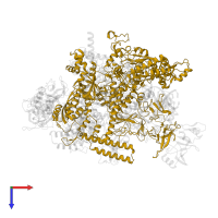 DNA-directed RNA polymerase subunit beta' in PDB entry 6alg, assembly 1, top view.