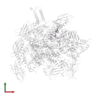 Transcription termination factor nun in PDB entry 6alg, assembly 1, front view.