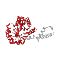 The deposited structure of PDB entry 6aq4 contains 3 copies of Pfam domain PF03328 (HpcH/HpaI aldolase/citrate lyase family) in Citrate lyase subunit beta-like protein. Showing 1 copy in chain B.