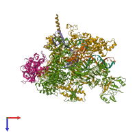 Hetero octameric assembly 1 of PDB entry 6asx coloured by chemically distinct molecules, top view.