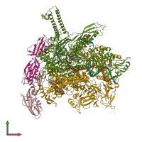 PDB entry 6asx coloured by chain, front view.