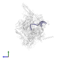RNA (29-MER) in PDB entry 6asx, assembly 1, side view.