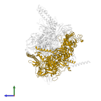 DNA-directed RNA polymerase subunit beta' in PDB entry 6asx, assembly 1, side view.