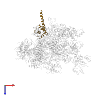 DNA-directed RNA polymerase subunit omega in PDB entry 6asx, assembly 1, top view.