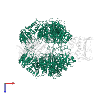 Aspartate carbamoyltransferase catalytic subunit in PDB entry 6at1, assembly 1, top view.