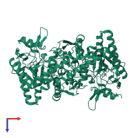 Nitric oxide synthase 1 in PDB entry 6aut, assembly 1, top view.