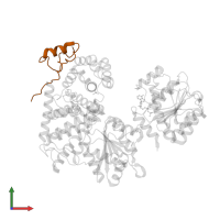 Nucleoporin NUP42 in PDB entry 6b4i, assembly 1, front view.