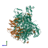 Hetero undecameric assembly 1 of PDB entry 6bbm coloured by chemically distinct molecules, side view.