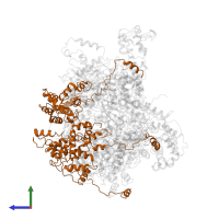 Replication protein P in PDB entry 6bbm, assembly 1, side view.